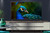 428057_9