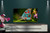 429698_ls
