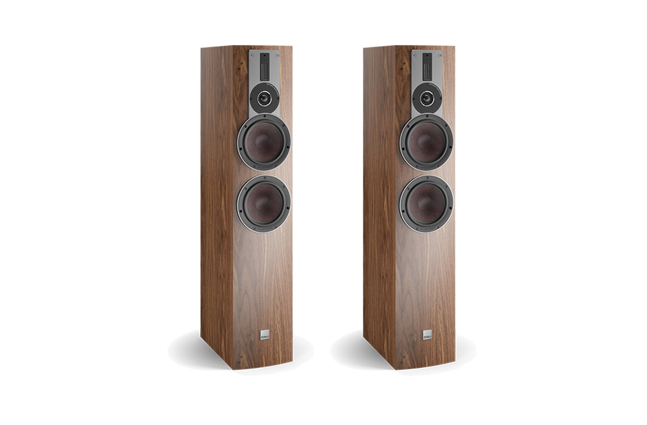 DALI RUBICON 6 (Natural Walnut)