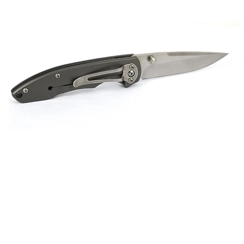 Sanrenmu 7073LUC-SK Gray Folding Knife