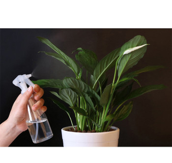 Sprinklers for Disinfectant Gardening Tools Plant Misting Nozzle Watering Spray Green House Hand Pressure Sprayer Water Bottle