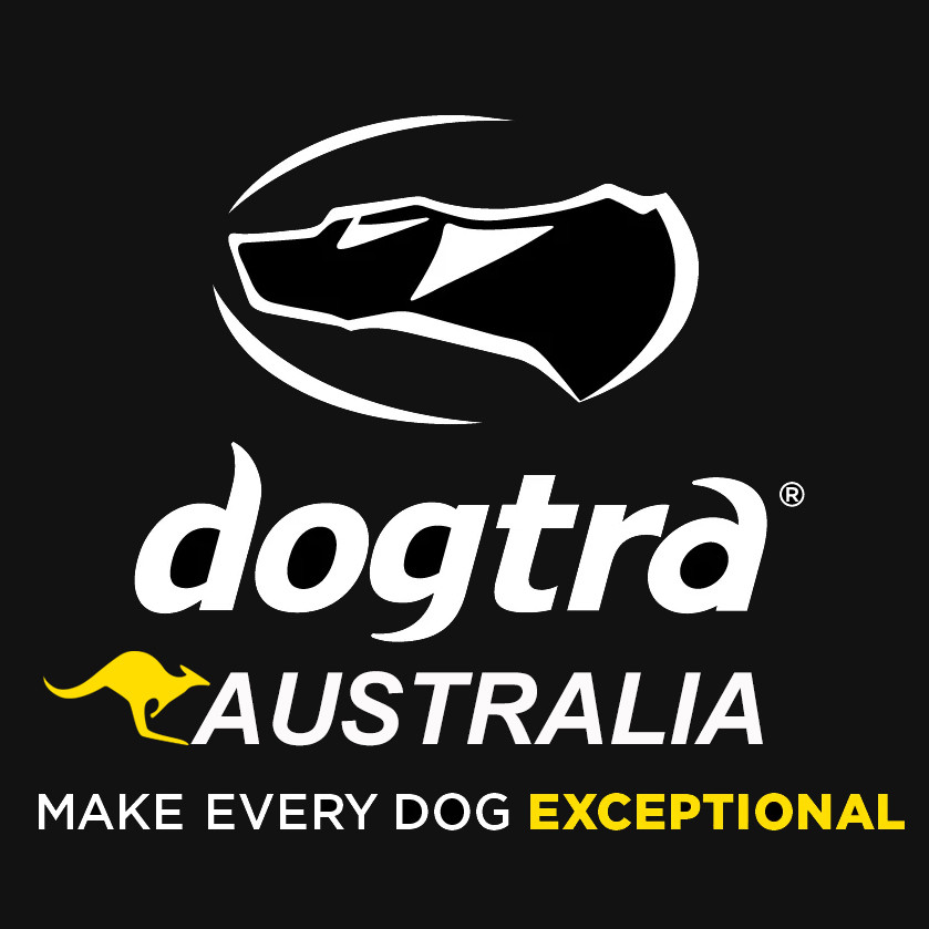 Dogtra Accessories