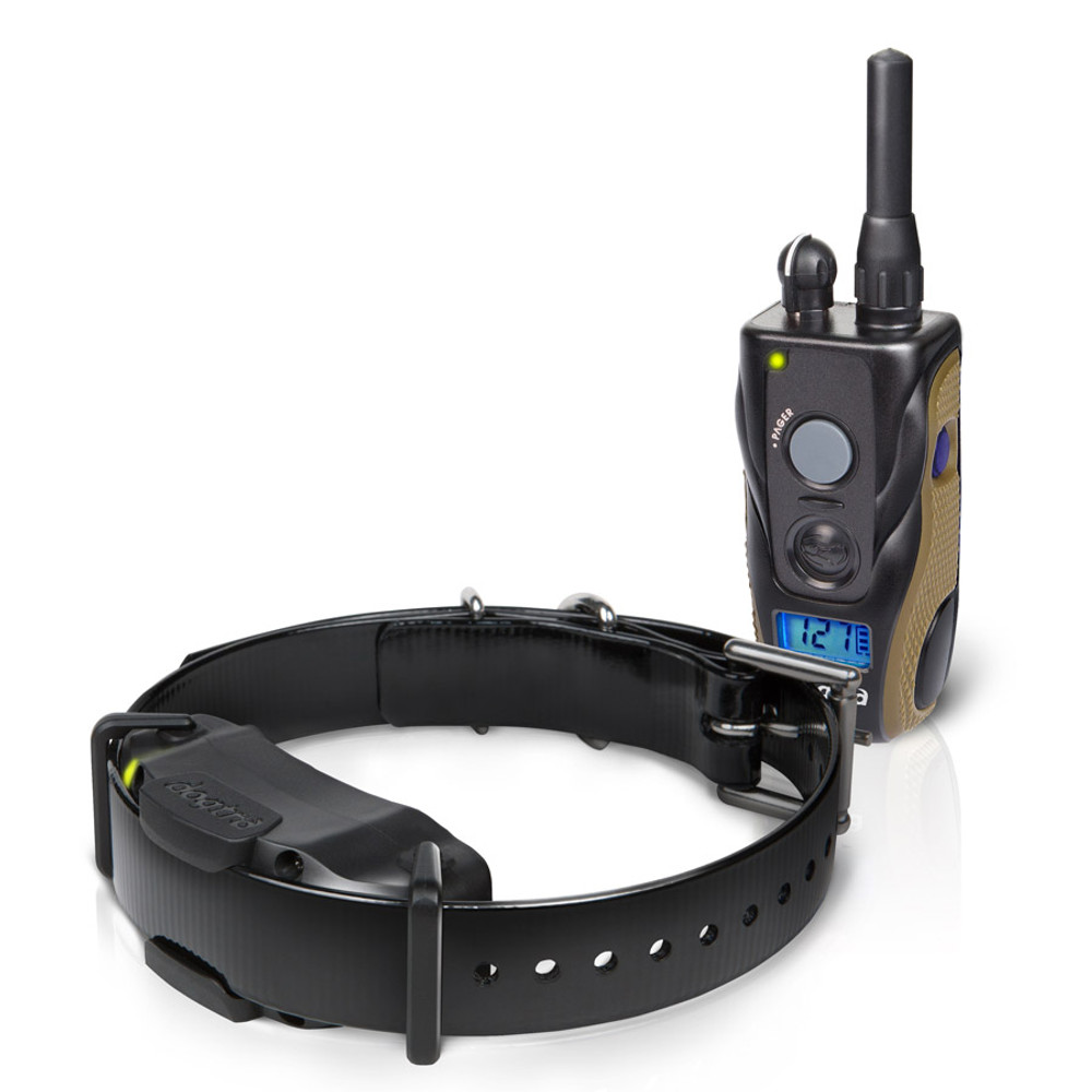 dogtra training collar