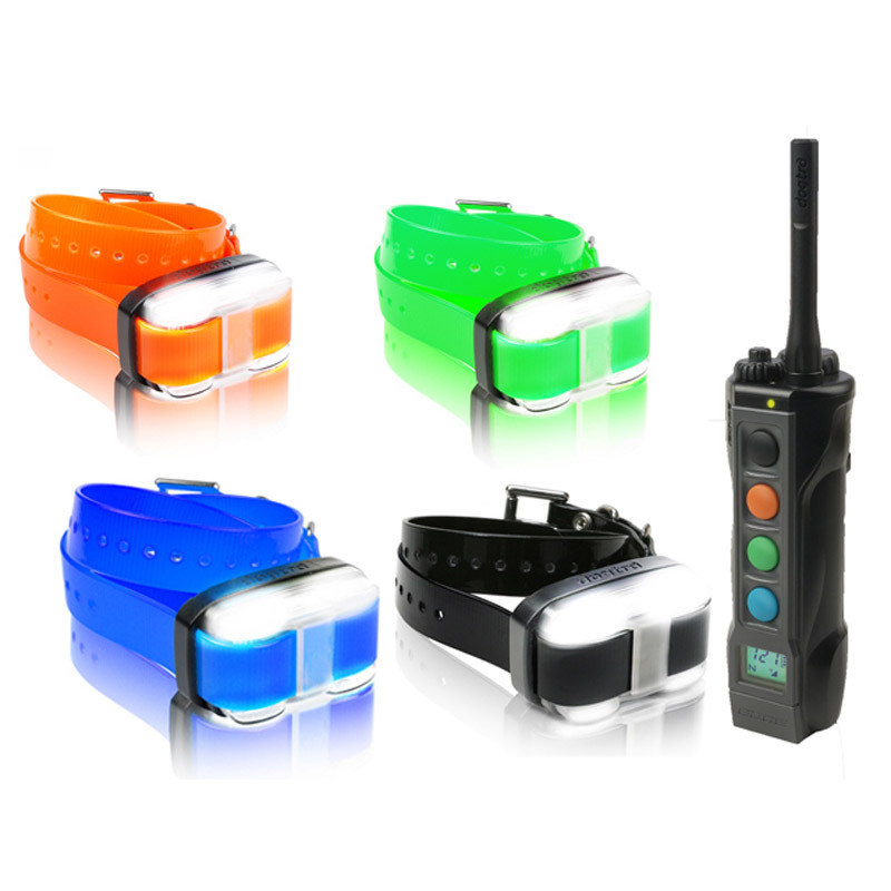 dogtra edge collar