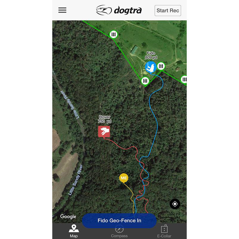 dogtra track and train