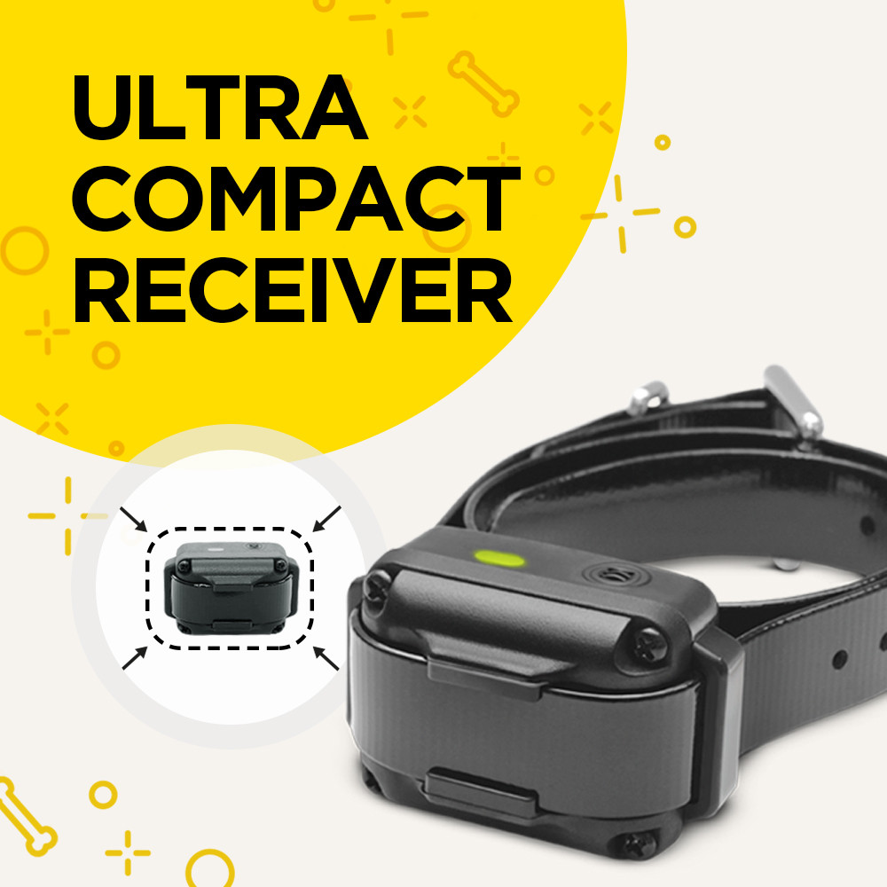 Dogtra Vibe Bark Control Collar Vibration Only DogMaster Trainers