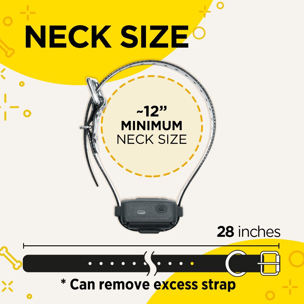 Dogtra Vibe Bark Control Collar Vibration Only DogMaster Trainers