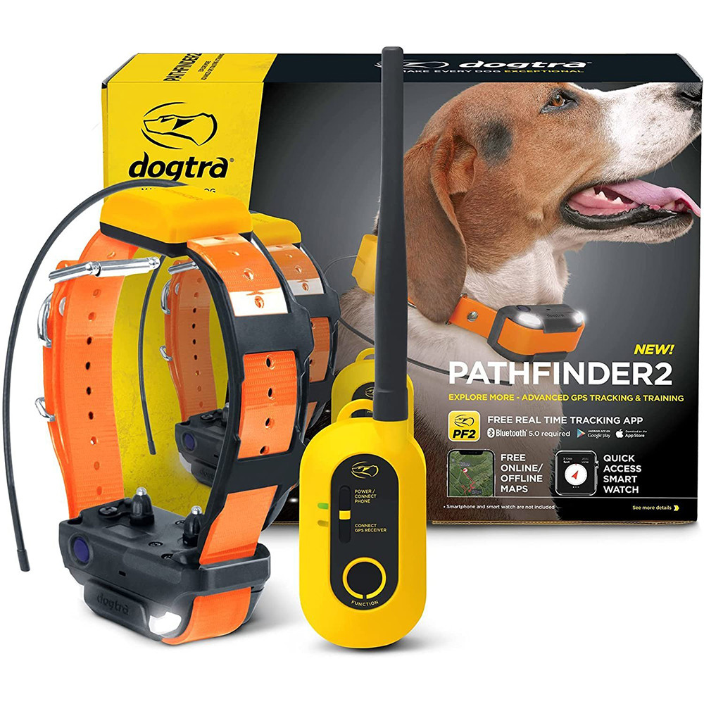 Gps systems hot sale for dogs