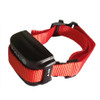 PAC Additional Dog Containment Collar