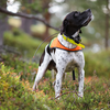 ​Introduction to dog tracking products