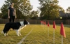 Containment Fences: Your Questions Answered