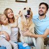 How to pick the best dog for you and your family