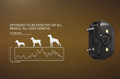 Garmin BarkLimiter Deluxe bark control collar suits most dogs Garmin BarkLimiter Deluxe bark control collar suits most dogs