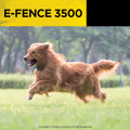 Dogtra EF3500 Invisible Dog Fence kit – Less than 40 acres