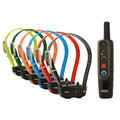 Garmin Tri-Tronics Pro 70 Dog Training Collar trains up to 6 dogs