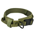 DMT K9 Heavy Duty Tactical Dog Collar