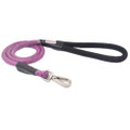 Heavy Duty Rope Dog Leash
