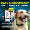 Dogtra Smart NOBark Collar