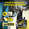 Dogtra 200iQ 2 Dogs Training System - 800M