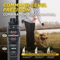 Dogtra Edge RT 2 Hunting Dog Training Collar - 1600M