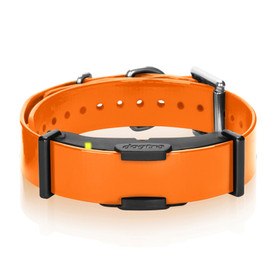 Dogtra Additional Collar for ARC Dog Training System Dogtra Additional Collar for ARC Dog Training System