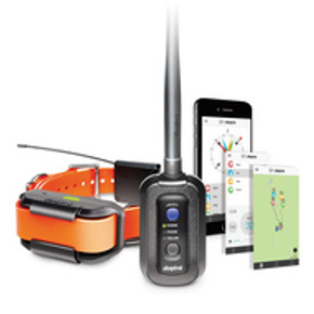 Dogtra Pathfinder GPS dog tracking