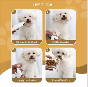 What To Do If Your Dog Has A Broken Nail