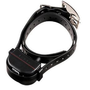 What Happened to Tri-Tronics ? What Happened to Tri-Tronics ?