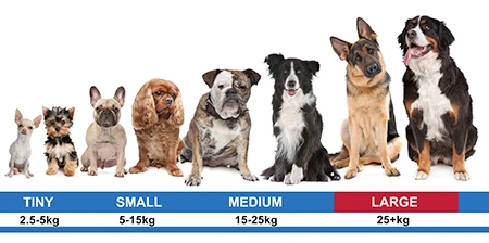 Garmin Pro 70 Bark Control & Dog Training Collar - 1600M (Up to 6 Dogs) — dog size guide by weight, large highlighted