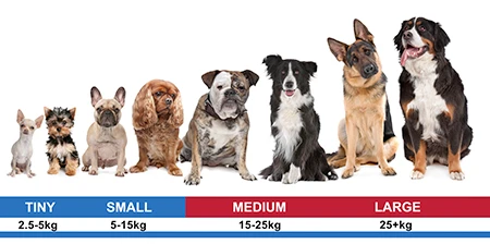 Dogtra Pathfinder 2 GPS Dog Track, Train System — dog size guide by weight, medium and large highlighted