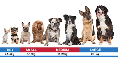Dogtra 'IQ PLUS' Dog Training Collar extra Receiver Orange — dog size guide by weight, small and medium highlighted