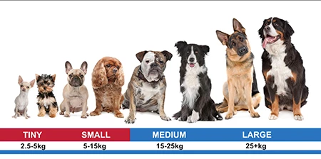 tiny to small dogs Dogtra 'IQ Mini' Dog Training Collar extra Receiver only — dog size guide by weight, tiny and small highlighted