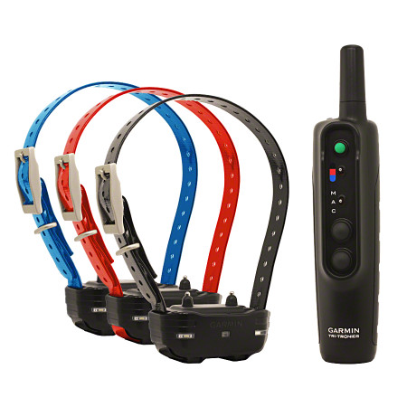 Garmin pro 550 dog clearance training system