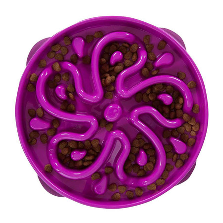 専用！Outward Hound Slo Bowl Medium/Mini Outward Hound Fun Feeder Slow-Bowl Mini Slow Feeder, Dog