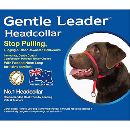 Gentle Leader Headcollar Black - Small/Medium/Large