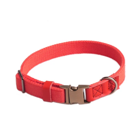 DMT Canvas Pet Collar