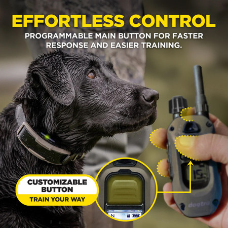 Dogtra 1900X Remote Dog Training Collar - 1200M