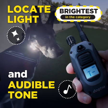 Dogtra 280X Dog Training Collar - 800M