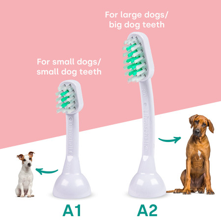 Emmi-Pet 2.0 Ultrasonic Pet Toothbrush brush head small