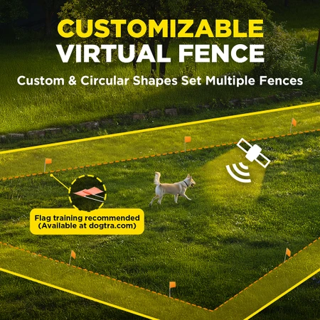 Dogtra GPS Dog Fence System - min. 3000sqm