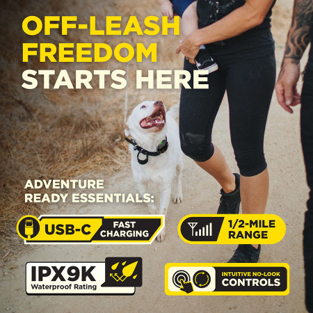 Dogtra 200iQ 2 Dogs Training System - 800M