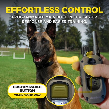 Dogtra ARC - X Dog Training Collar - 1200M