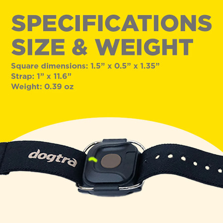 Dogtra Handsfree square add on for X series training system