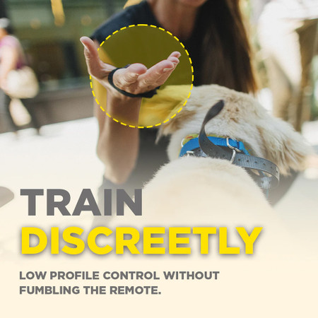 Dogtra Handsfree square add on for X series training system
