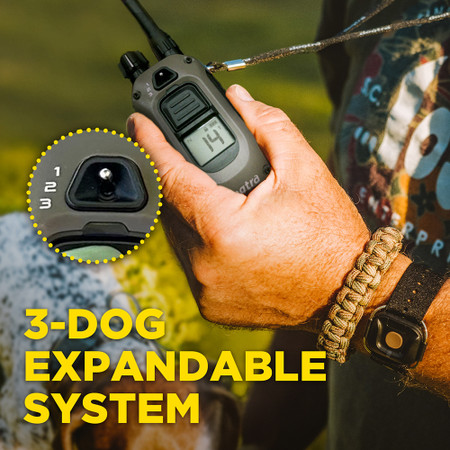 Dogtra Handsfree square add on for X series training system