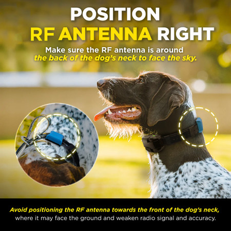 Dogtra Smart Dog Fencing Collar only