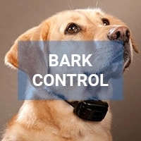 best bark collar
