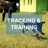 Dog Training Collars