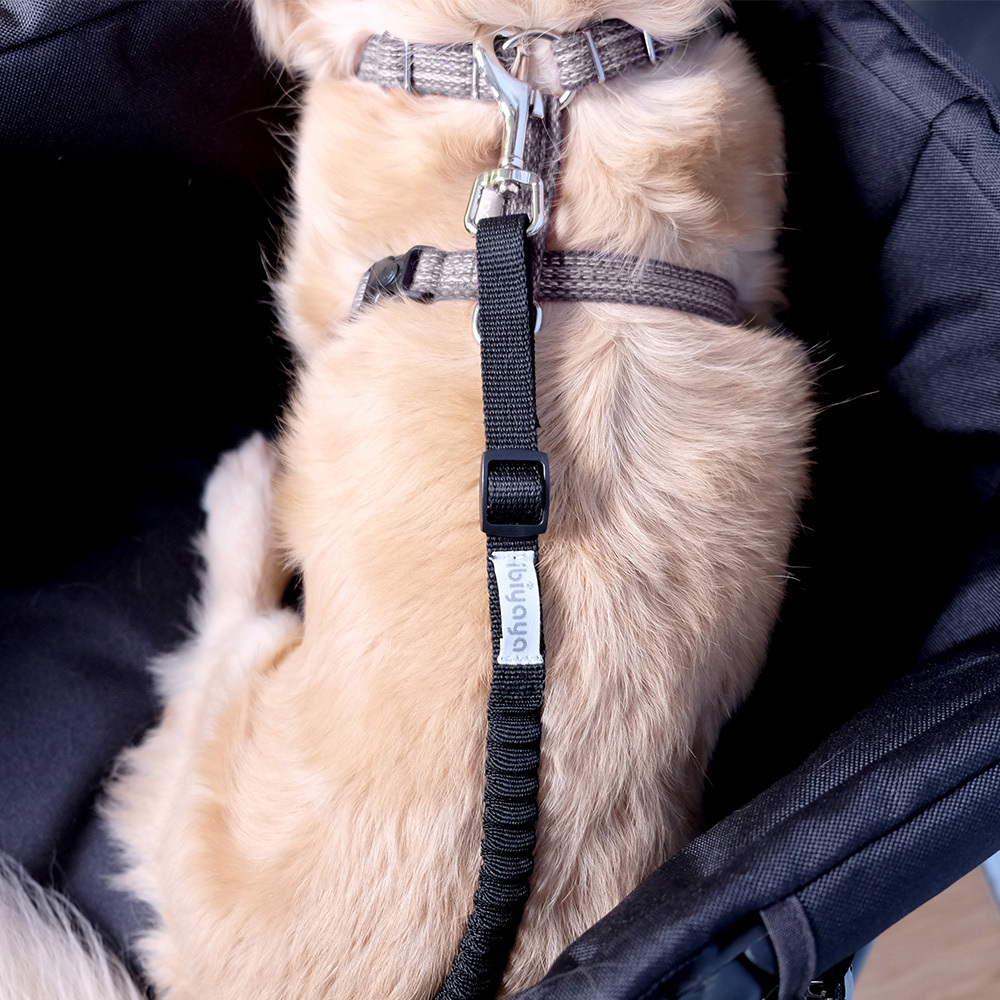 Pet Travel Accessories