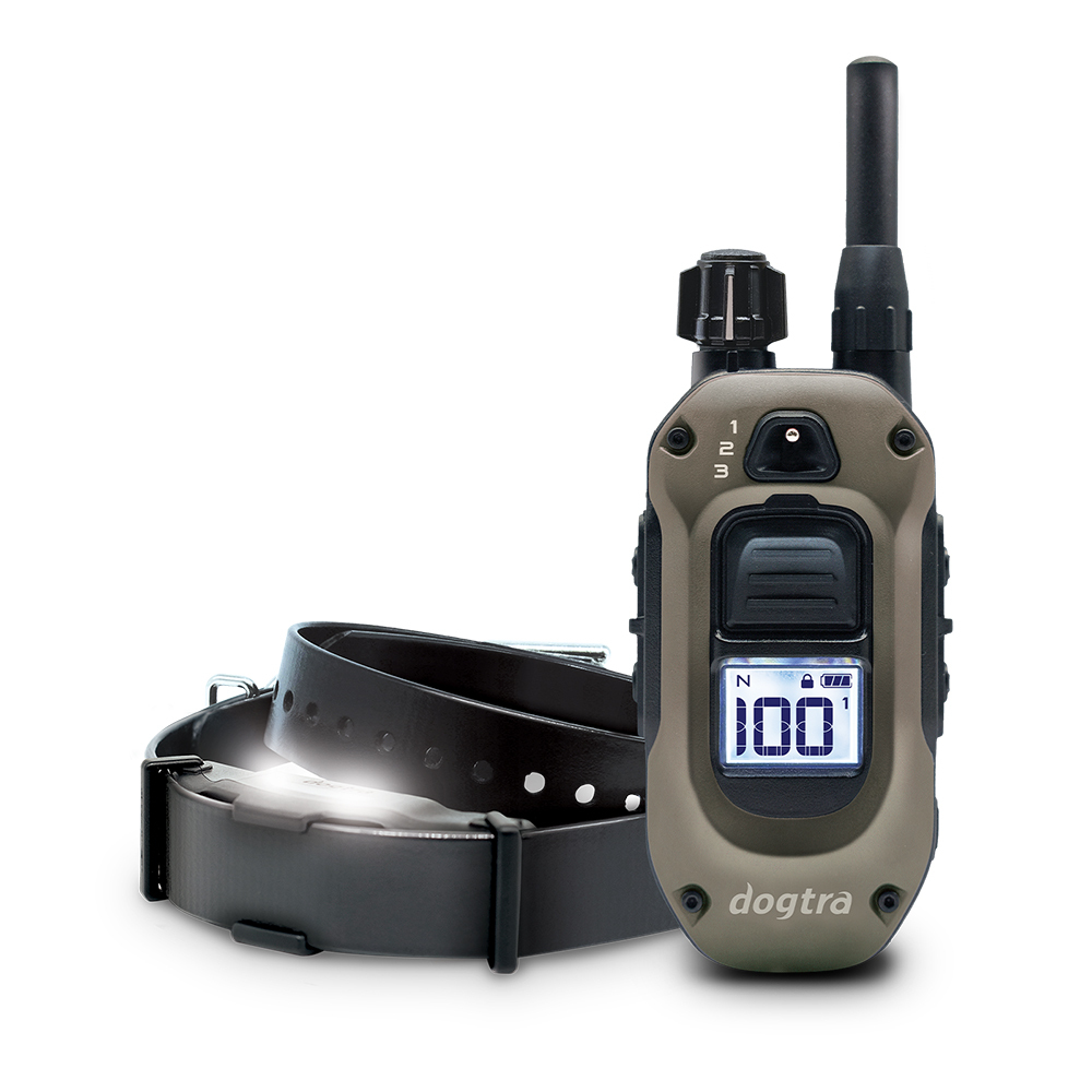 Training Collars For Medium Dogs